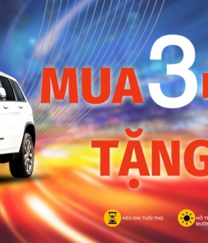 3 tang 1